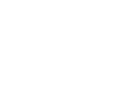 Corporate Governance