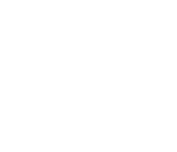 Environmental Sustainability